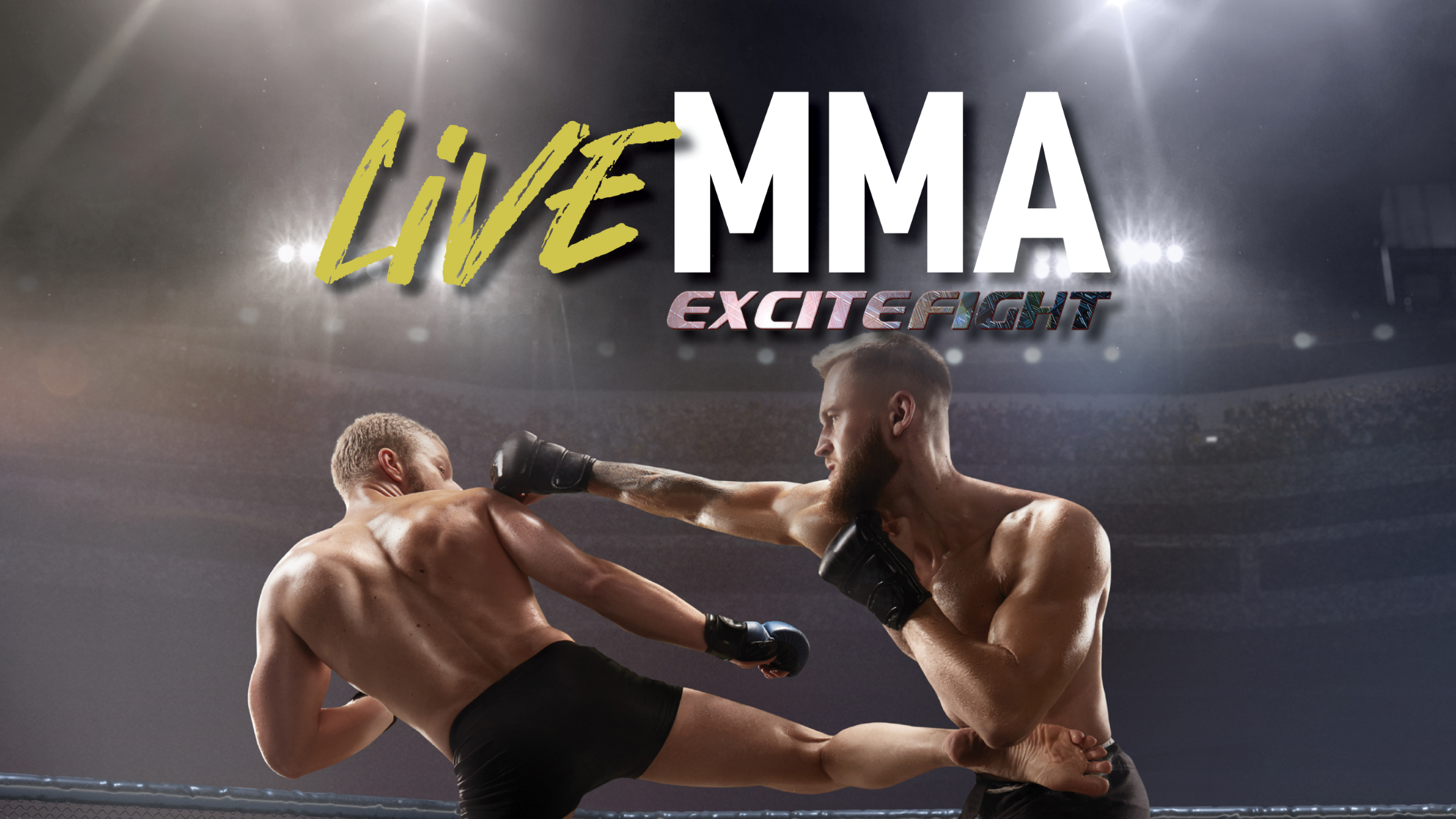 Excitefight MMA