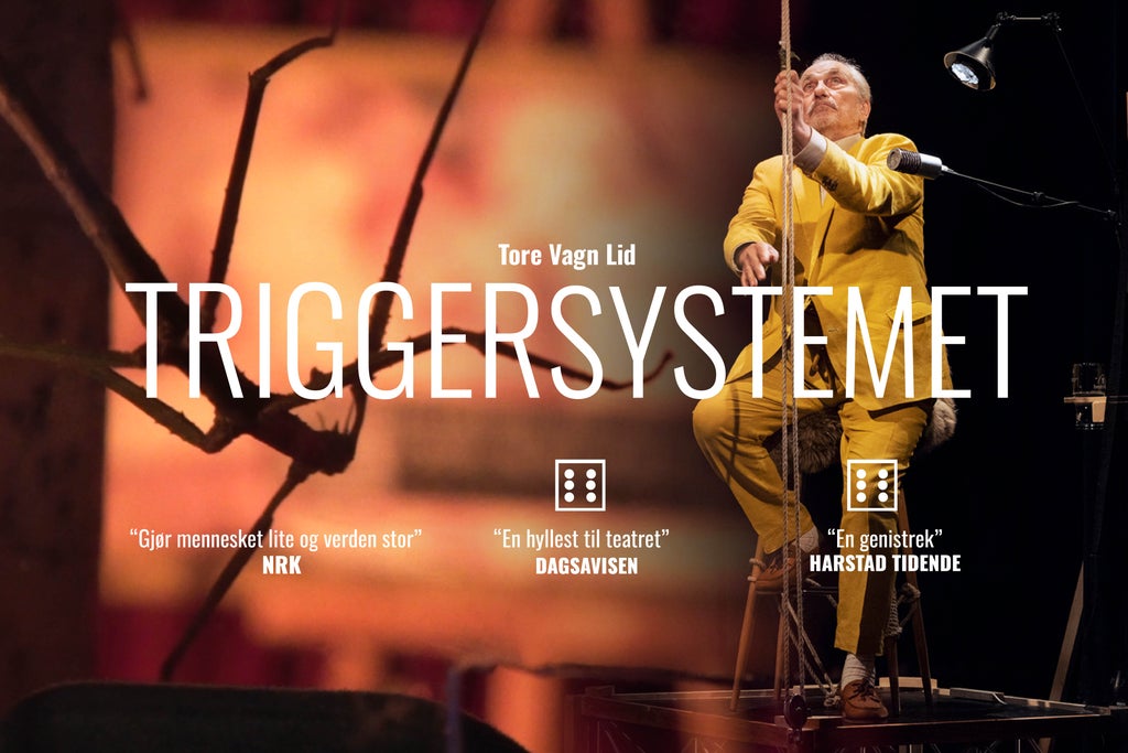 Triggersystemet av Tore Vagn Lid