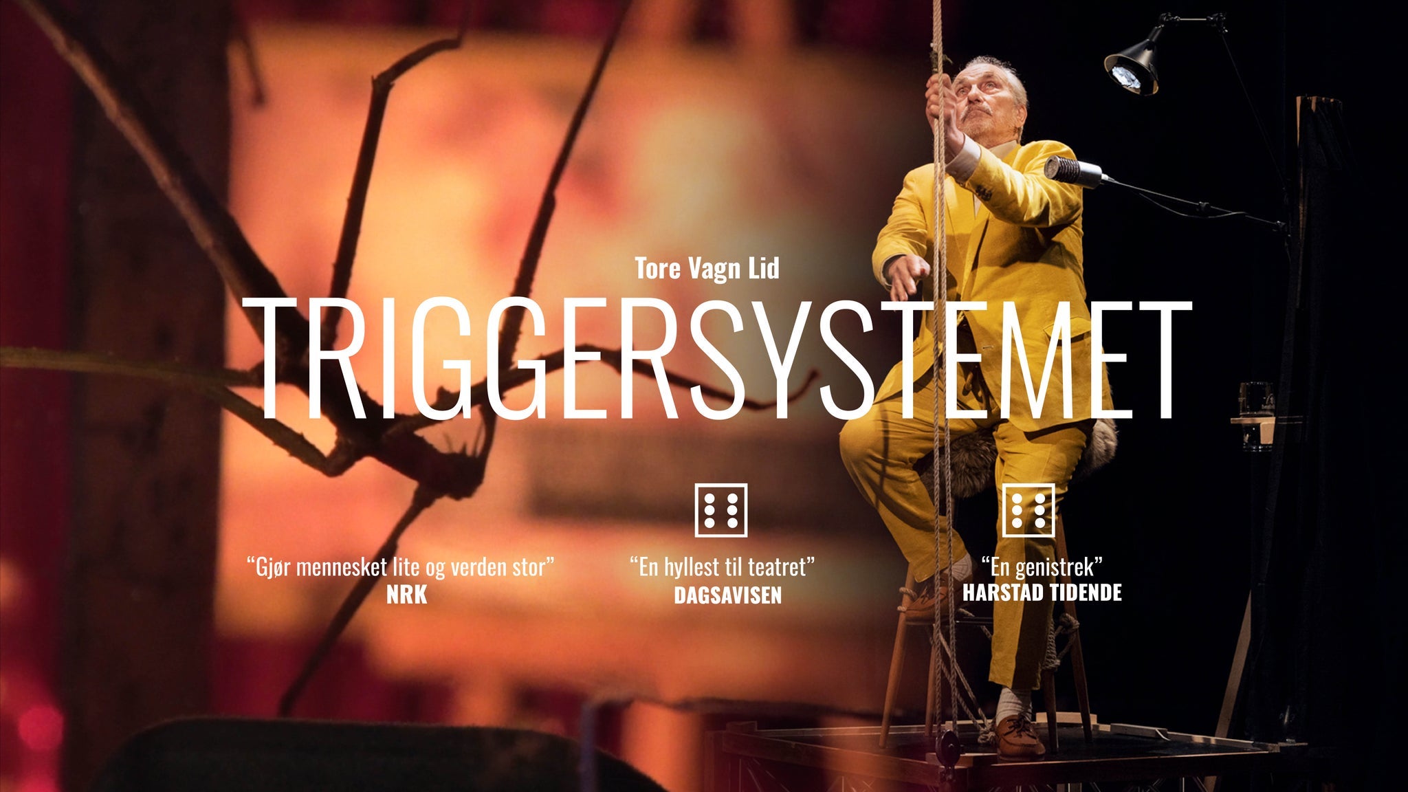 Triggersystemet av Tore Vagn Lid