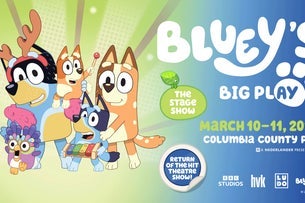 Bluey's Big Play