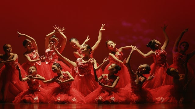 2026 Spring Festival Gala