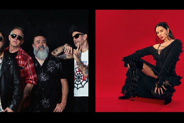 Presales to molotov: members use these when buying pre-sale tickets