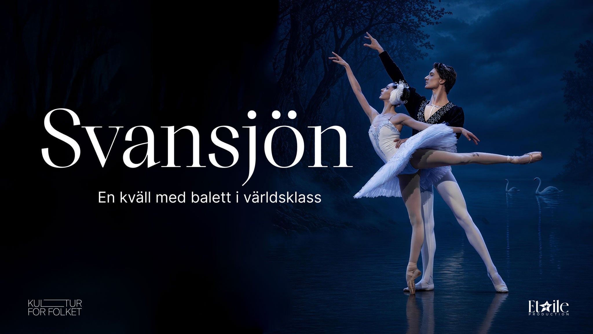 Svansjön — en kväll med balett i världsklass