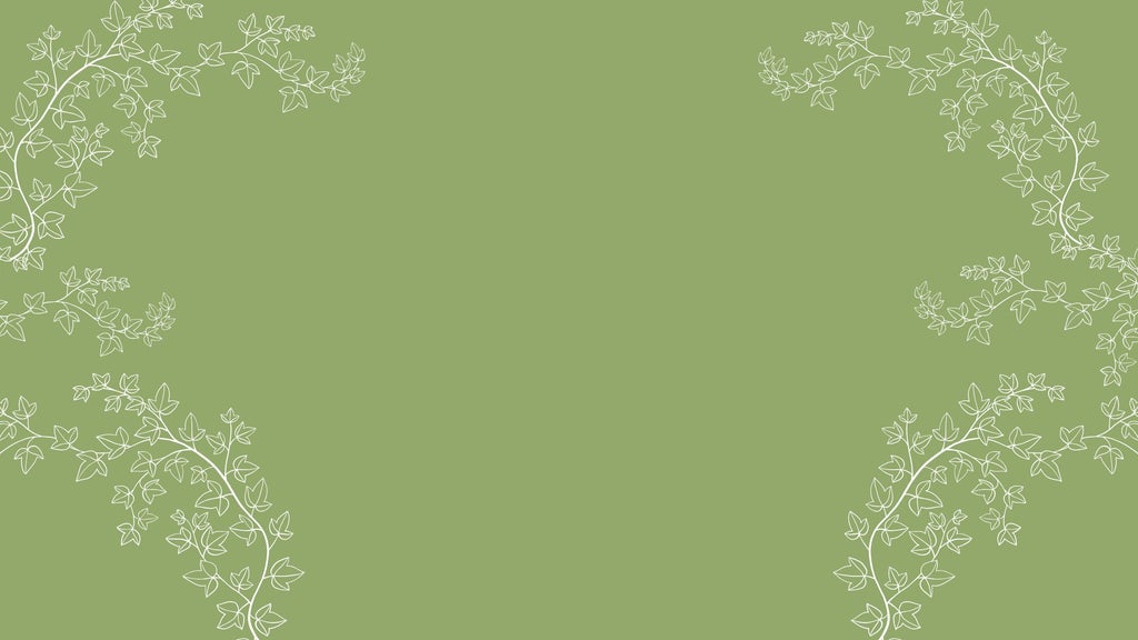 Bravo Academy's Senior Troupe Presents Anne & Gilbert Abridged