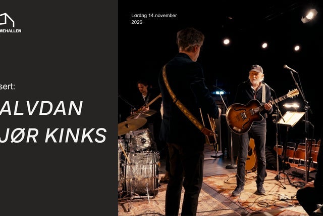 Halvdan gjør kinks