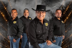 Los Palominos