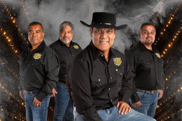 Los Palominos