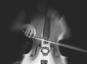 Auckland Philharmonia: Haydn & Shostakovich