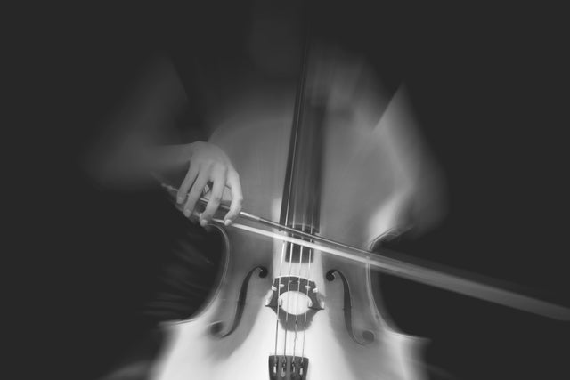 Auckland Philharmonia: Haydn & Shostakovich