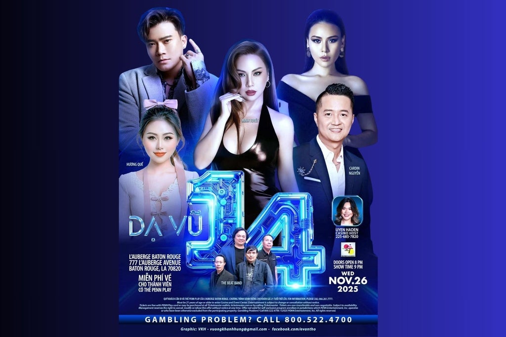 Da Vu 14 concert image