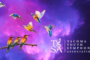 TYSA Presents: Flights of Fancy show poster