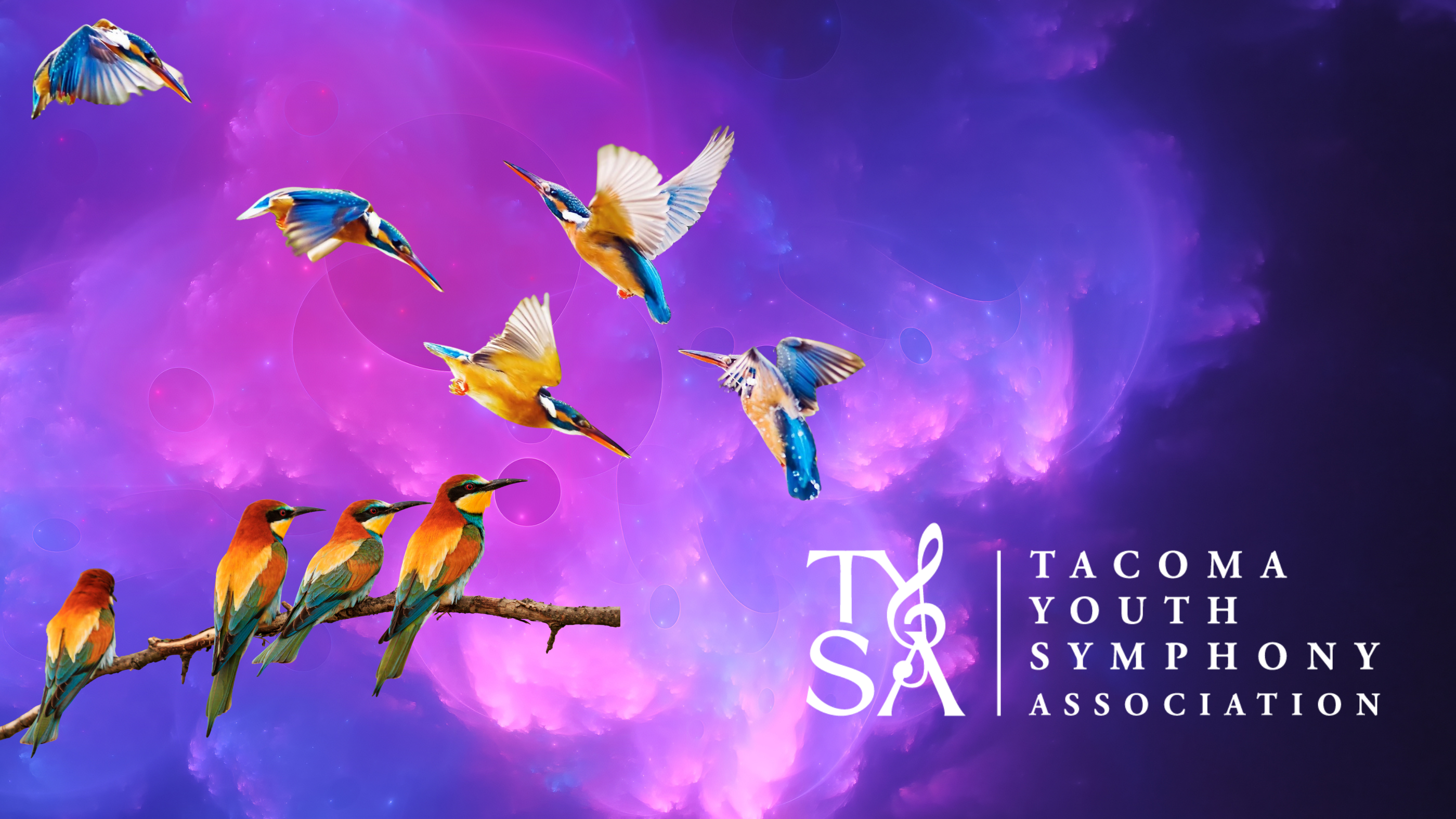 TYSA Presents: Flights of Fancy