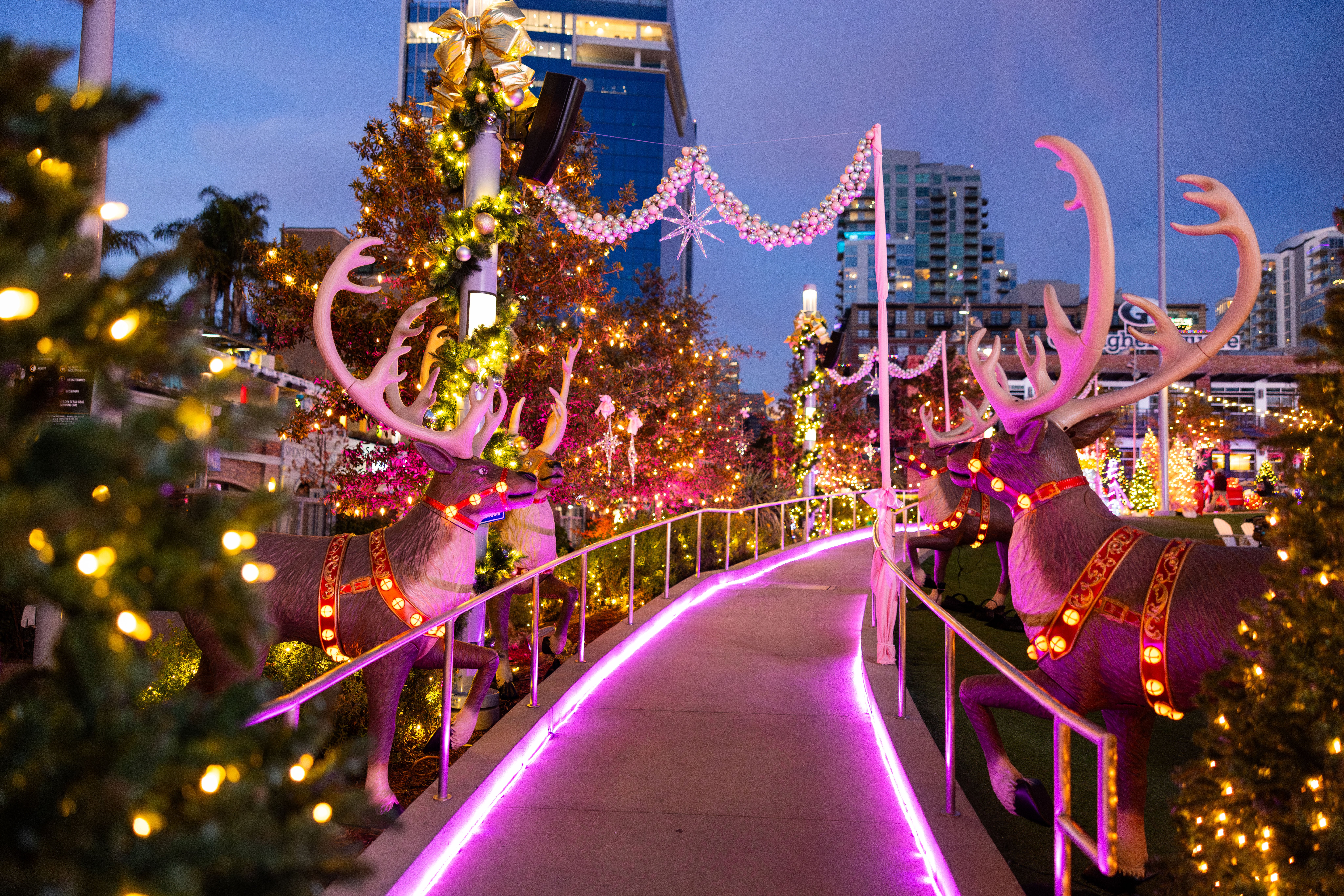Holiday Wonderland at Petco Park