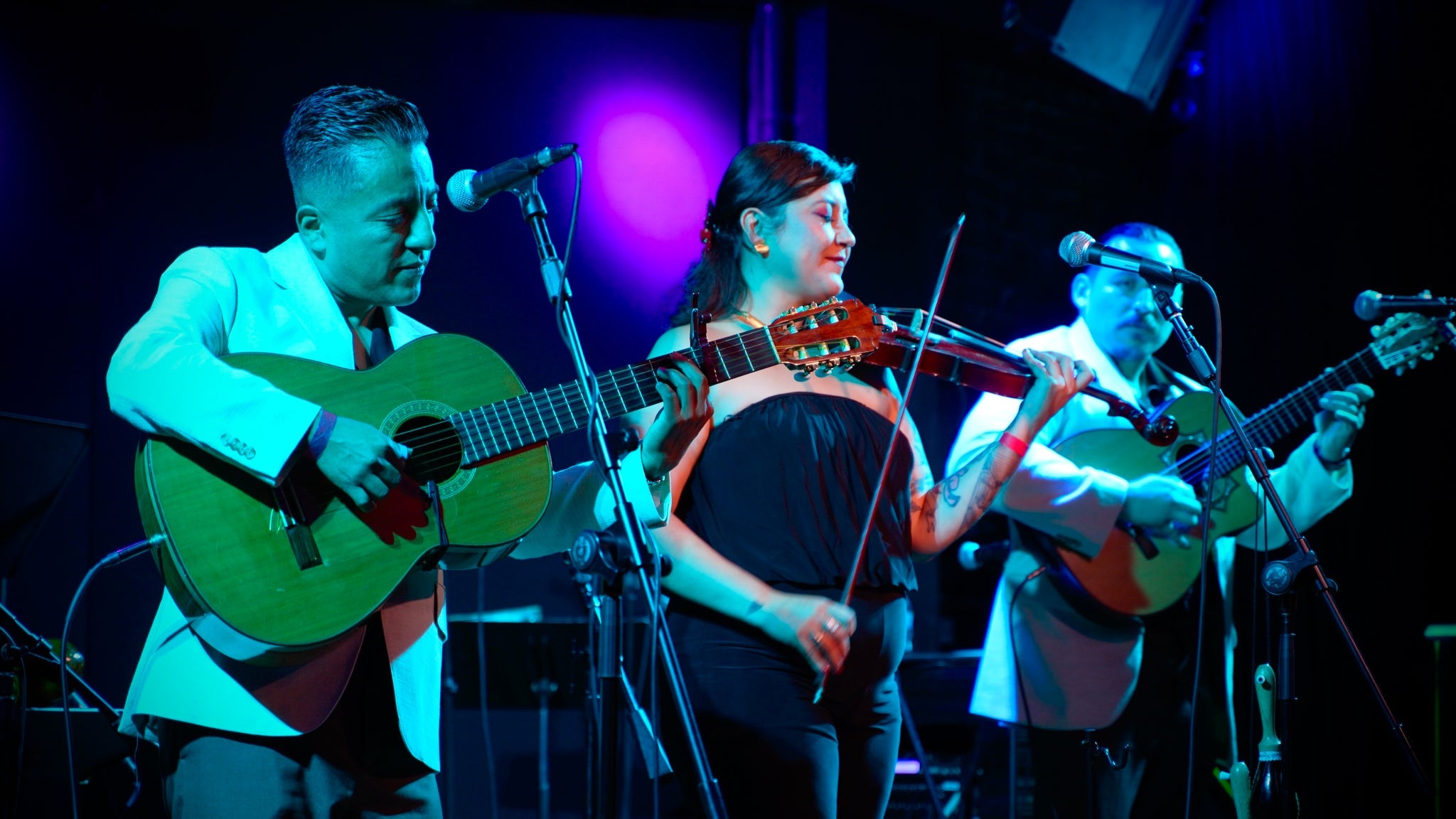 Boleros De Noche concert image