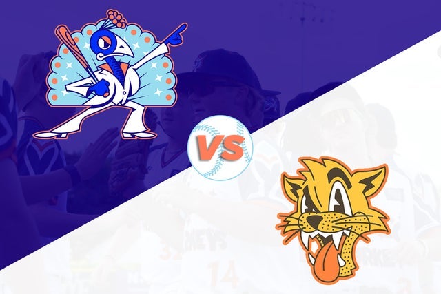 Carolina Disco Turkeys Vs Uwharrie Wampus Cats presales in Winston Salem