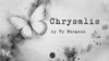 Chrysalis — University at Buffalo - Katharine Cornell Theatre
