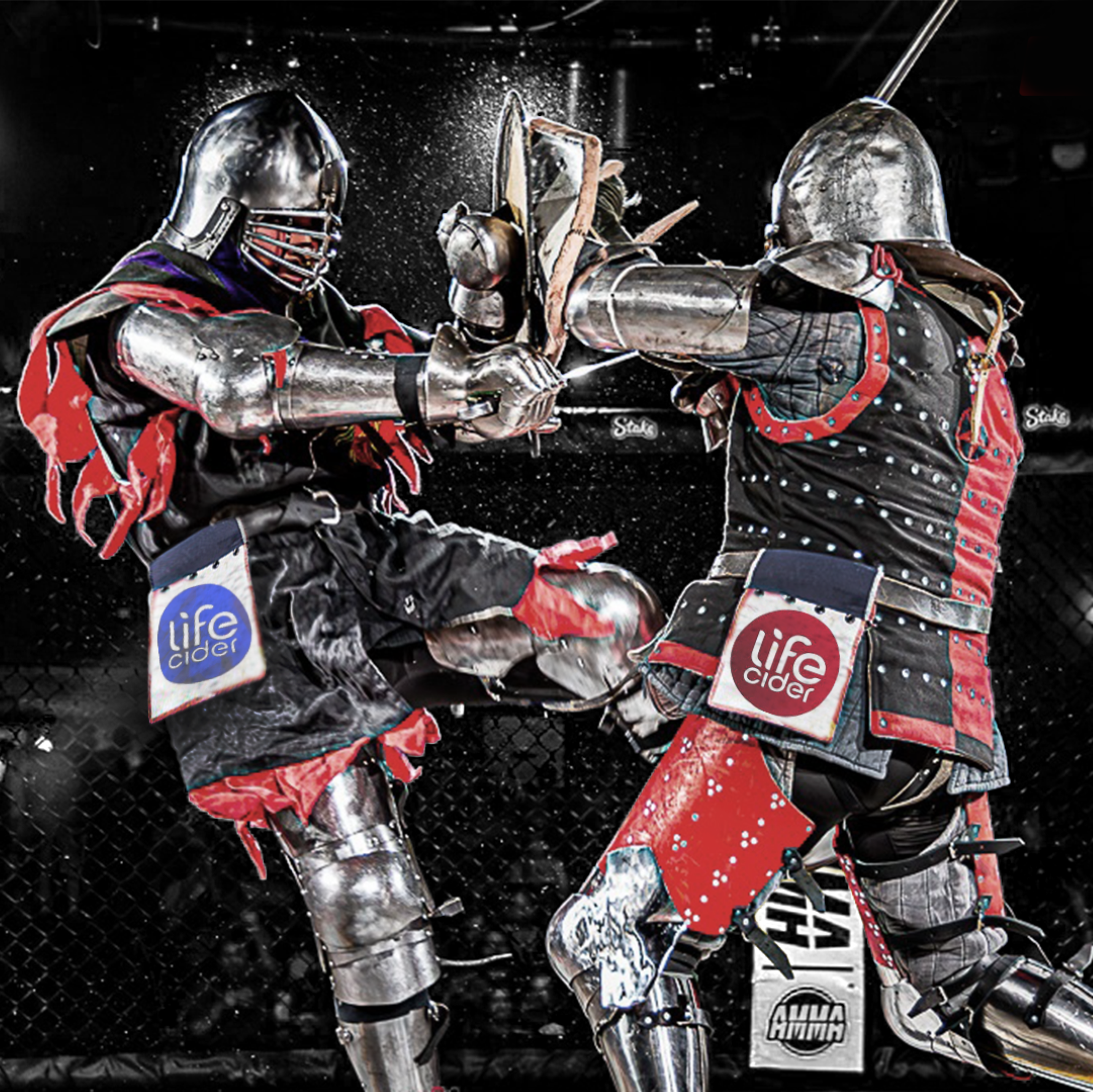 Armored MMA Medieval Cage Fighting