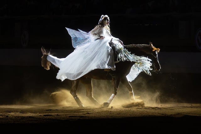 Freestyle Reining - Sun. Jan. 10 3pm