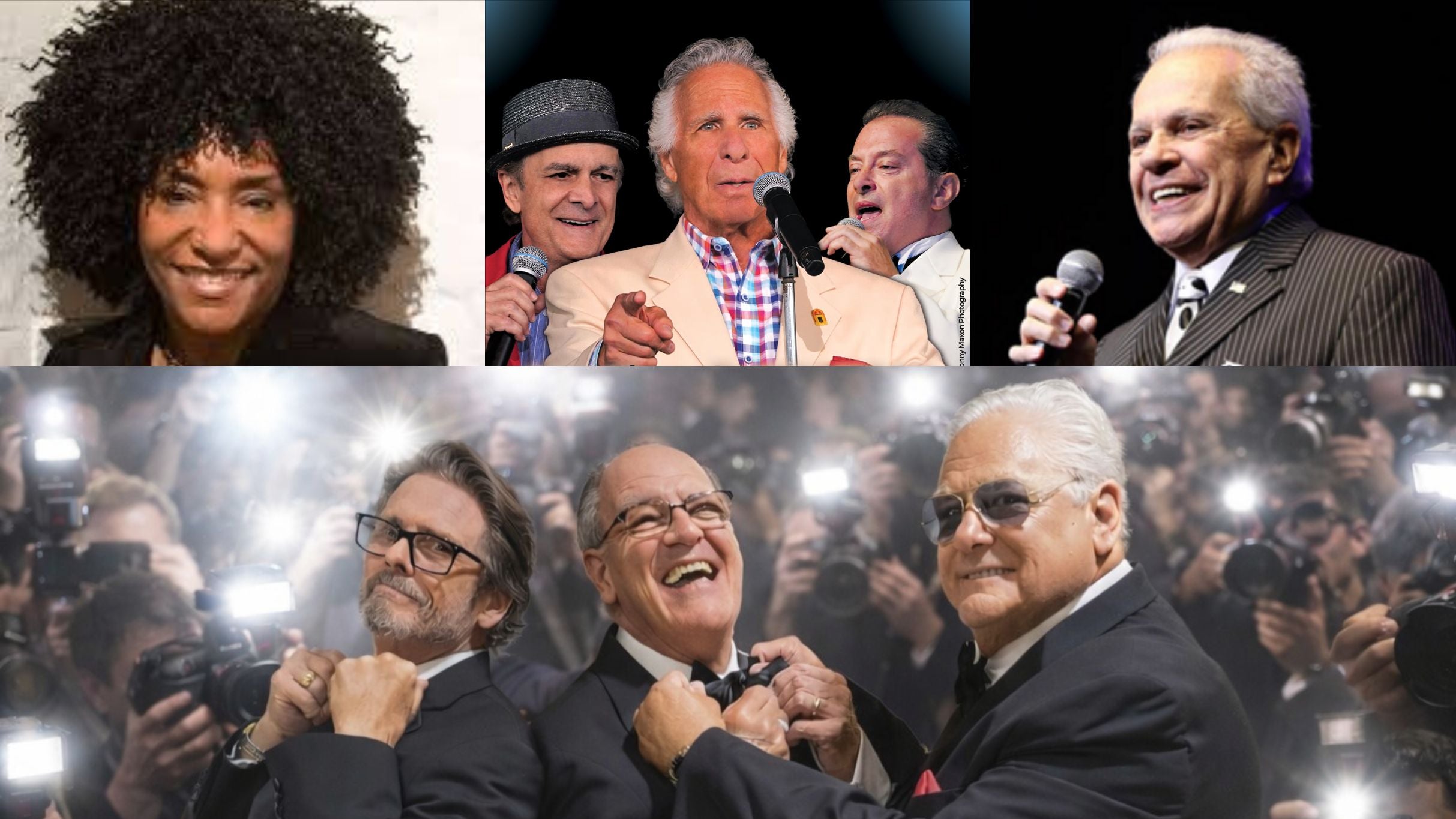 The Best of Doo Wop Platinum Edition concert image