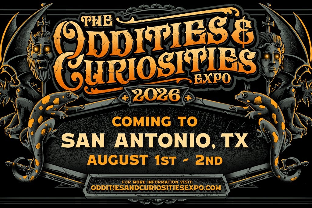 Oddities & Curiosities Expo: Sunset Moth Entomology Class 10 AM-12 PM