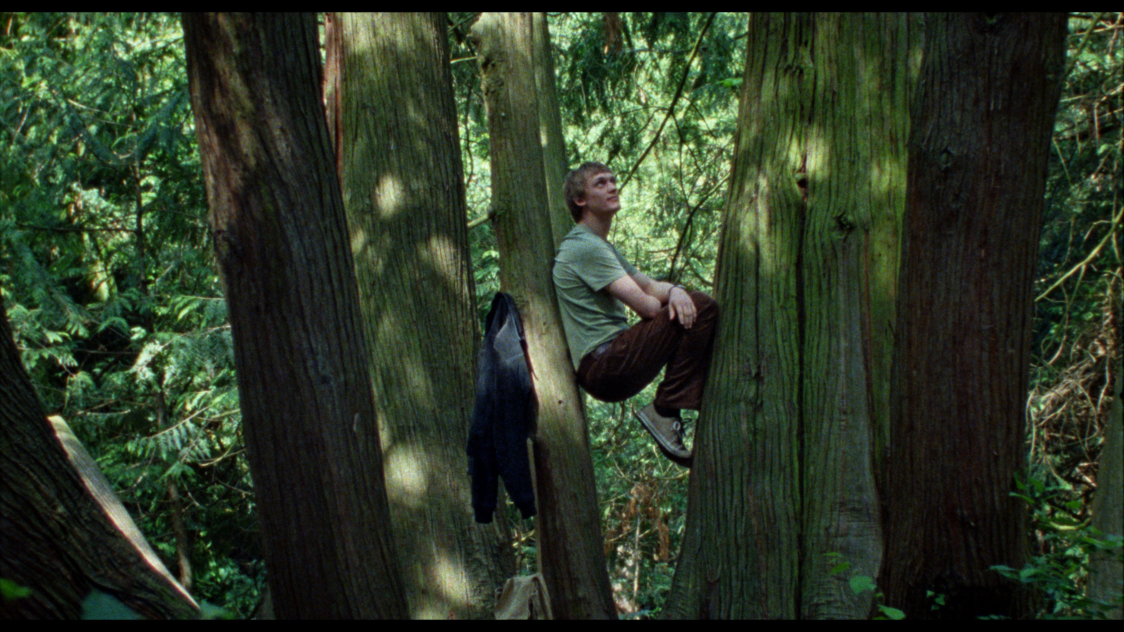 Whānau Mārama: New Zealand International Film Festival