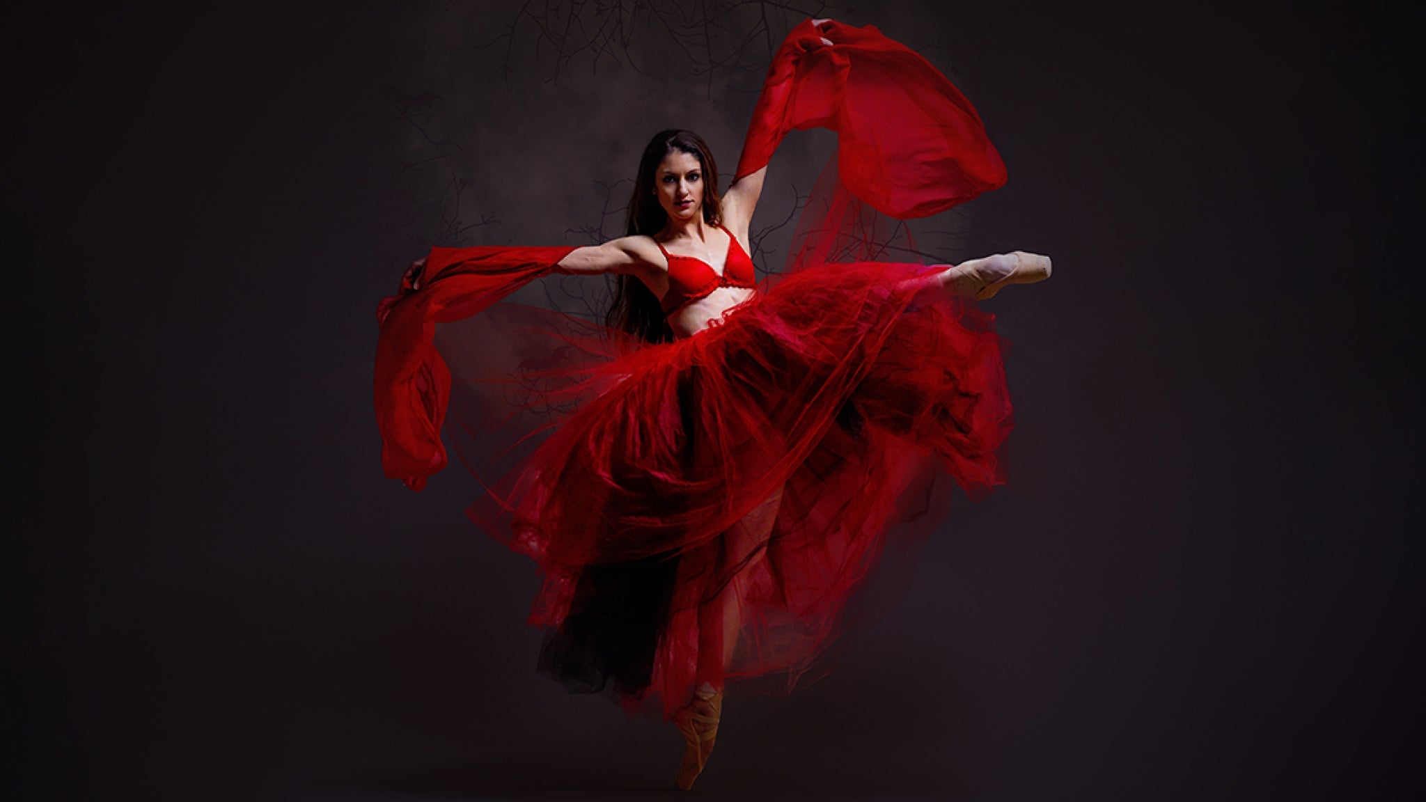working presale code for Dracula: Ballet With A Bite! tickets in Evans
