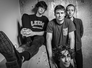 Car Seat Headrest