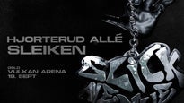 Hjorterud Allé X Sleiken