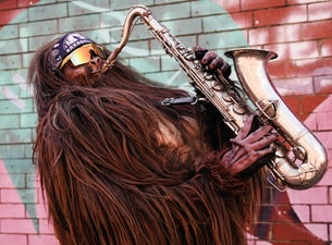 Saxsquatch