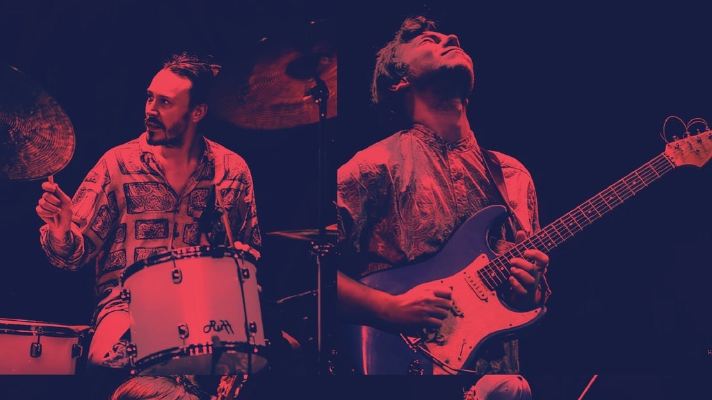 André Drages Wolves