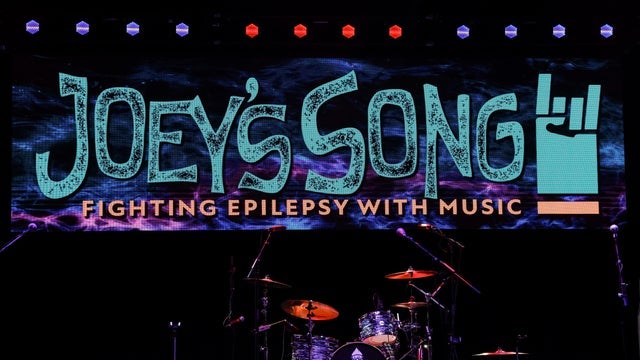 Joey's Song Presents The Freezing Man Festival concert image