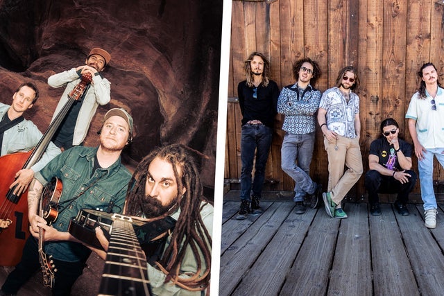 Presales to kitchen dwellers + dogs in a pile: members use these when buying pre-sale tickets