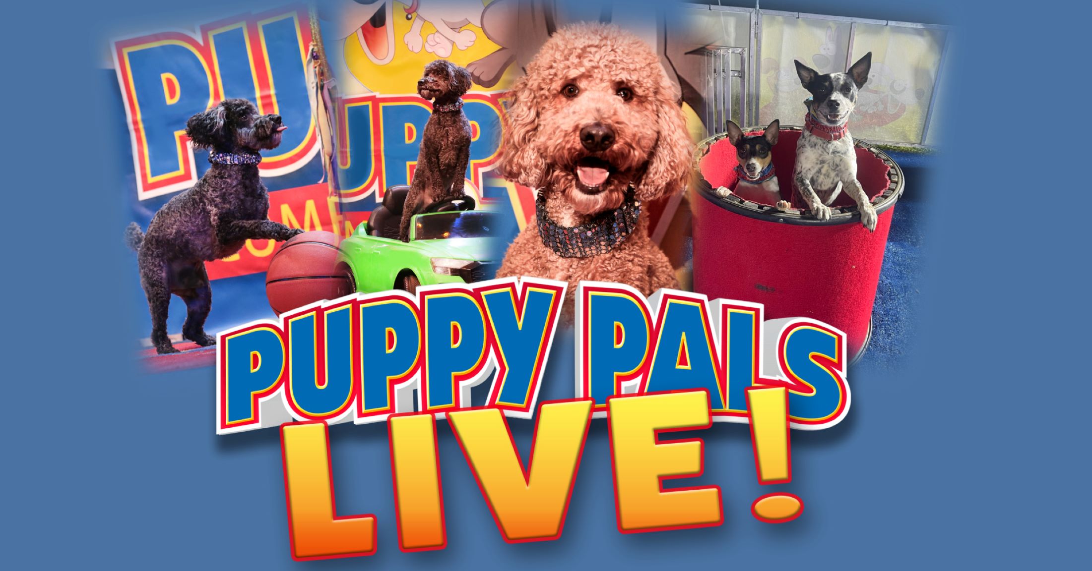 PUPPY PALS LIVE!