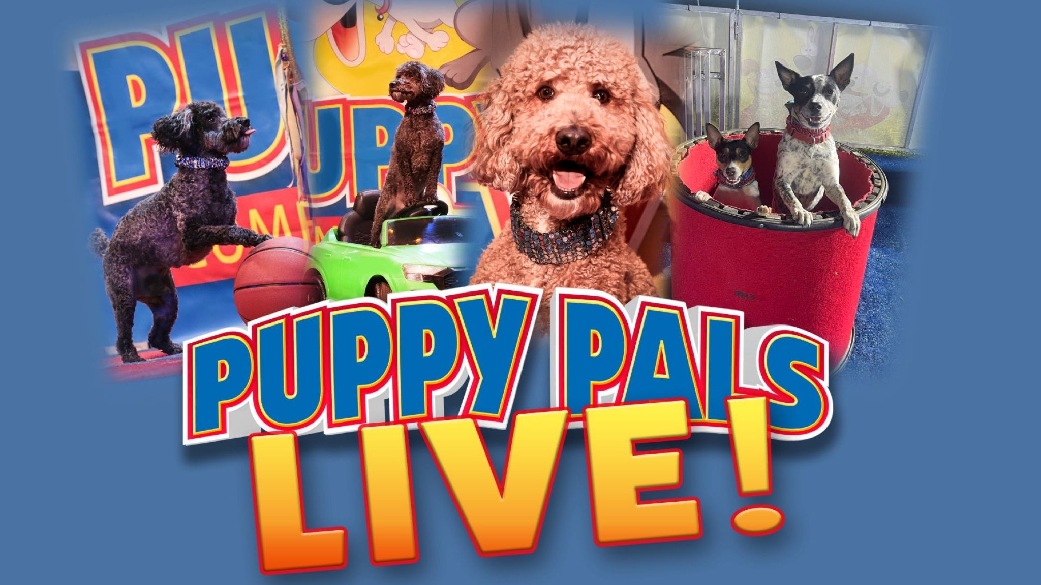 RESCHEDULED: PUPPY PALS LIVE!