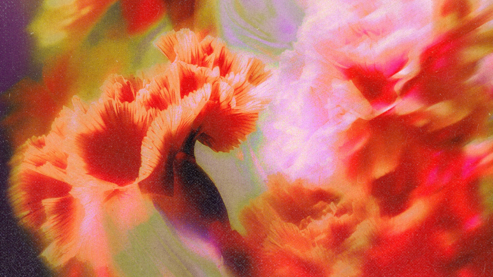Blossom X Oliverse