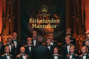 Julekonsert med Birkelunden mannskor 2026