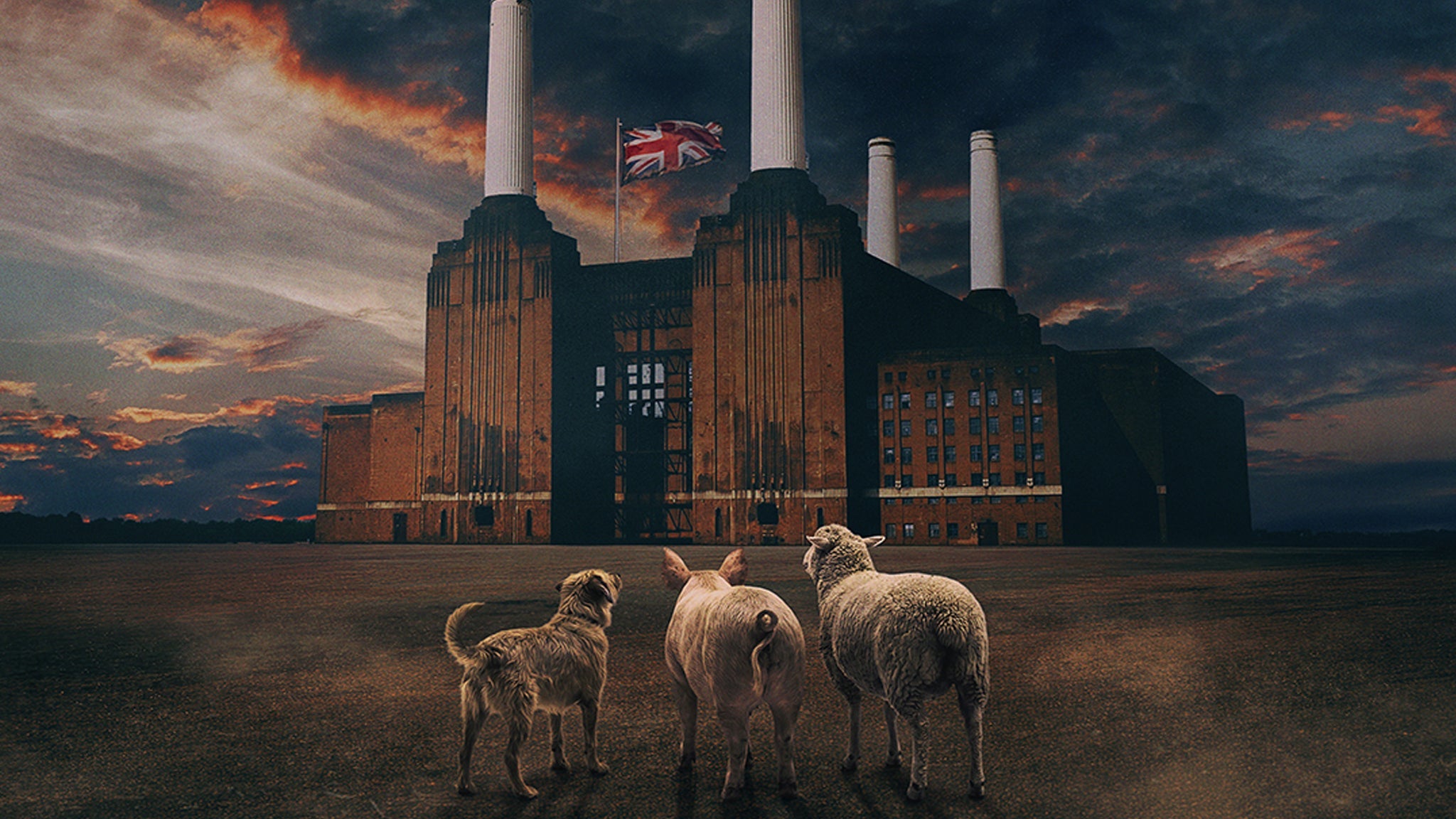BRIT FLOYD - ANIMALS 50
