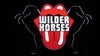 Wilder Horses: A Tribute To The Rolling Stones