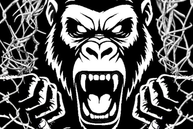 Presales to primal cage wars: members use these when buying pre-sale tickets