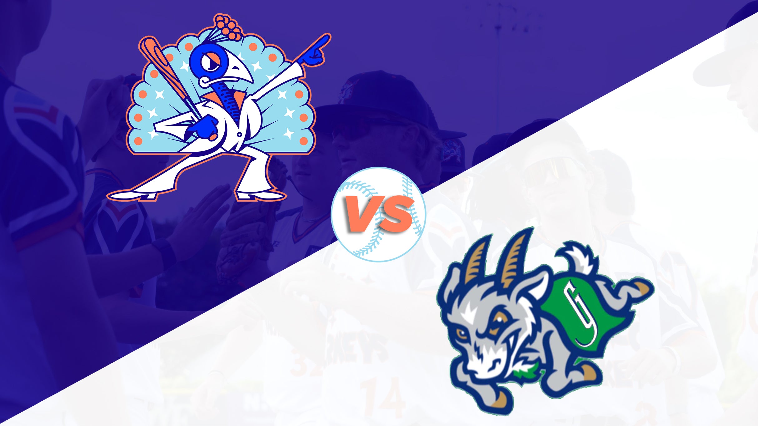 Carolina Disco Turkeys Vs Greensboro Yard Goats