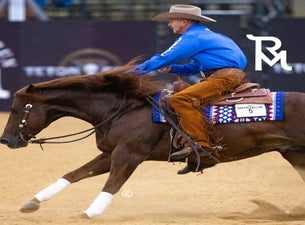 Run For A Million.  Reining Championship