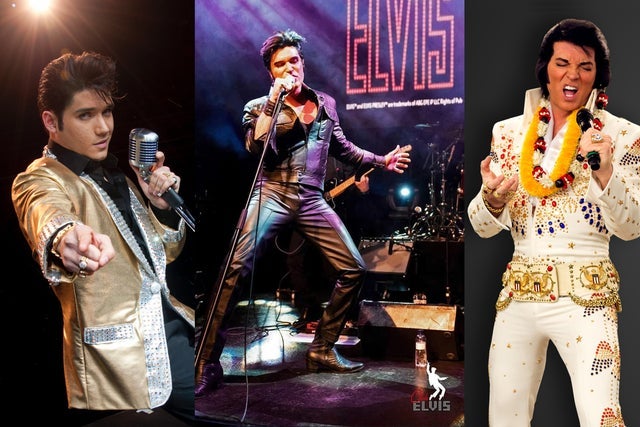 One Night with the King! 3 World Champion Elvis Performers Winnipeg  presale password