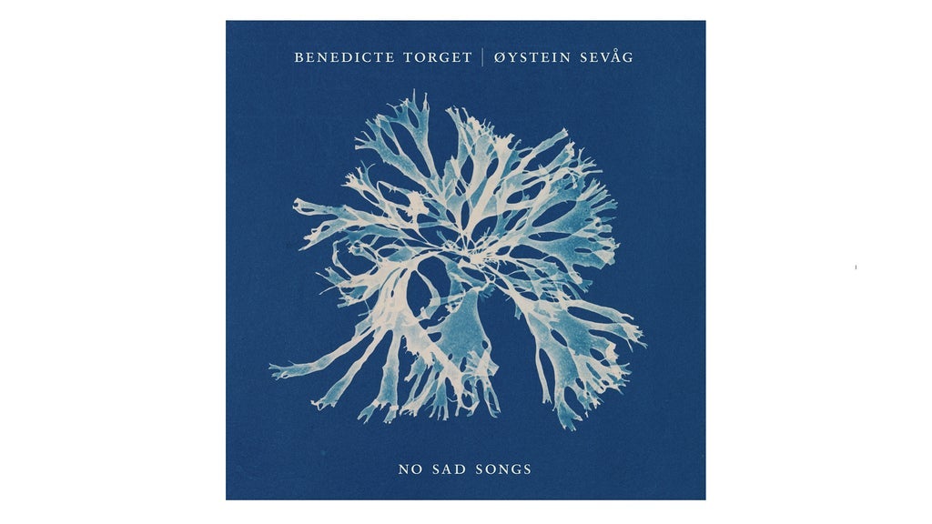 No Sad Songs: Torget / Sevåg albumslipp