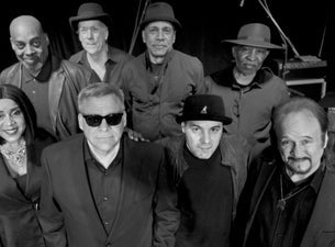 Tupelo Honey: A Van Morrison Celebration