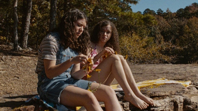 Whānau Mārama: New Zealand International Film Festival