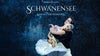 Schwanensee