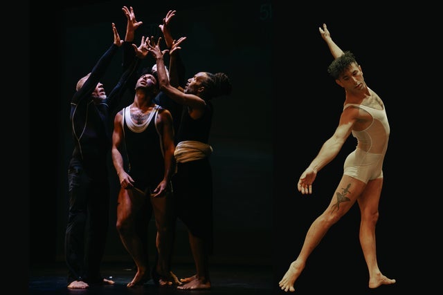 Pioneer Winter Collective - Apollo presales in Ft Lauderdale