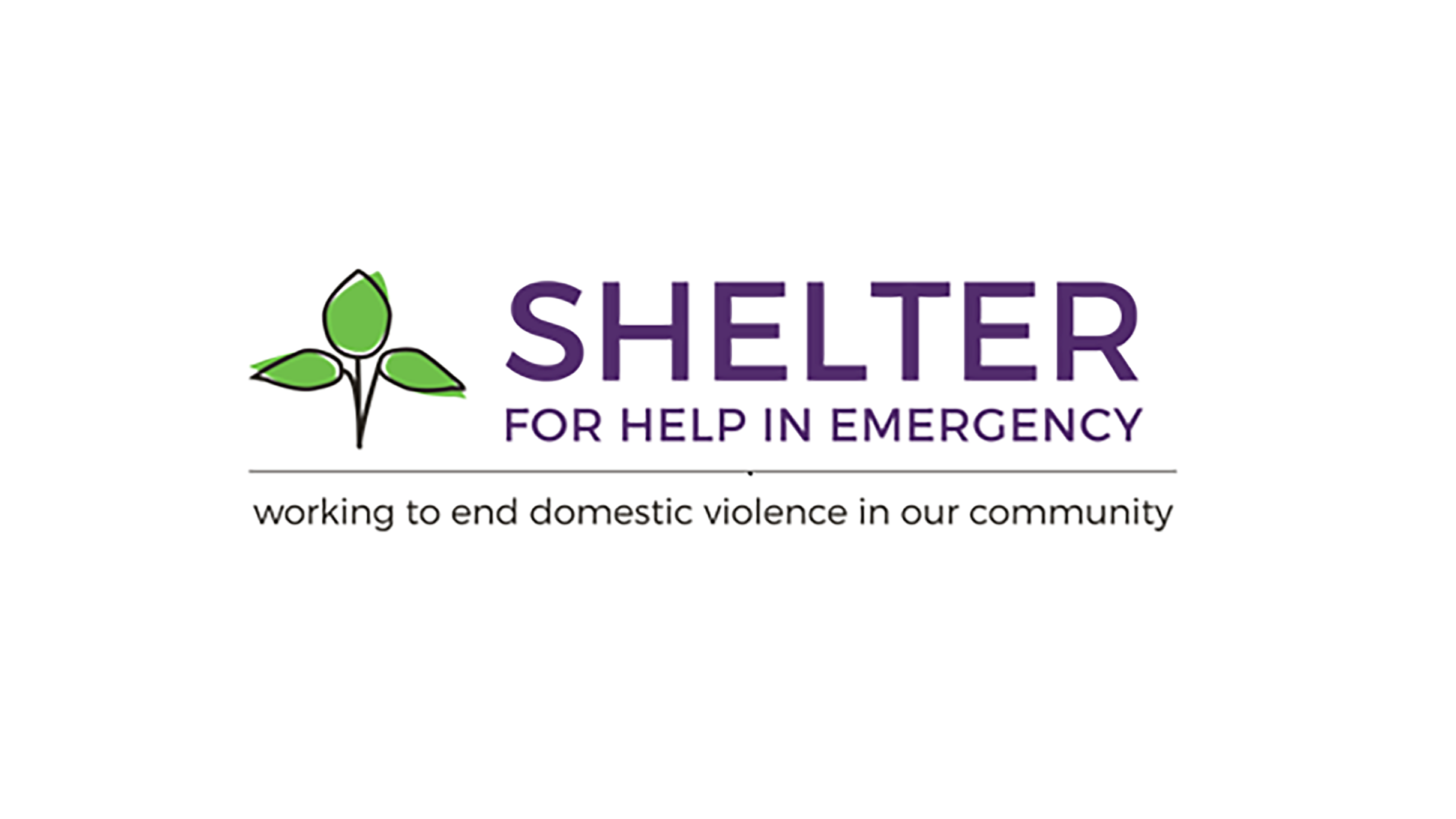 The Shelter for Help in Emergency Optional Donation at The Southern Cafe & Music Hall – Charlottesville, VA