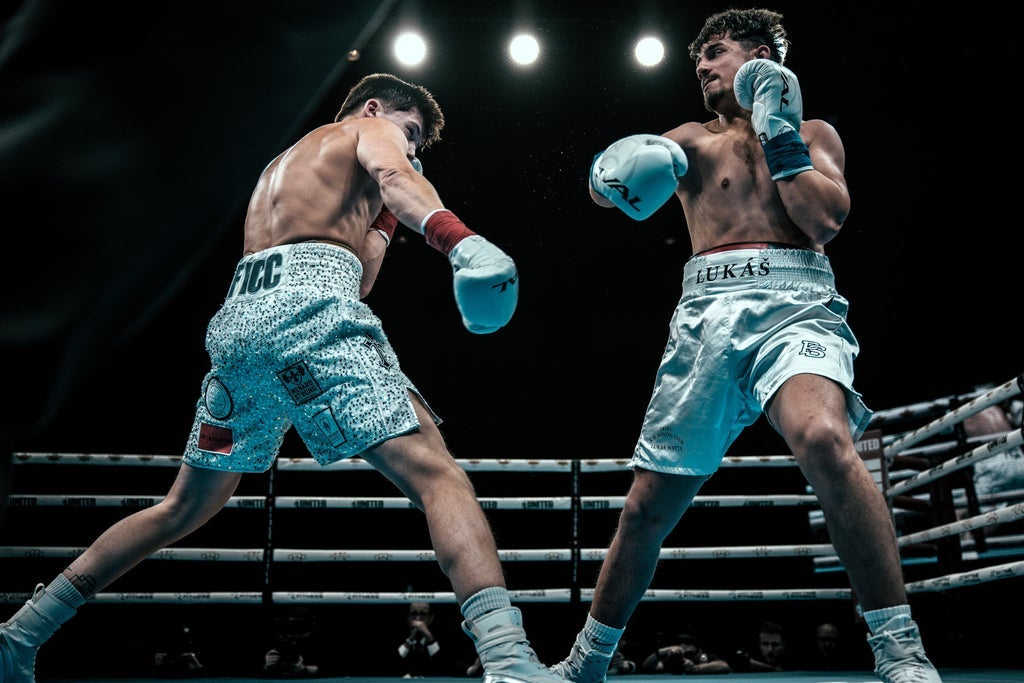 UNITED BOXING PROMOTIONS PRESENTS: LIVE CHAMPIONSHIP BOXING