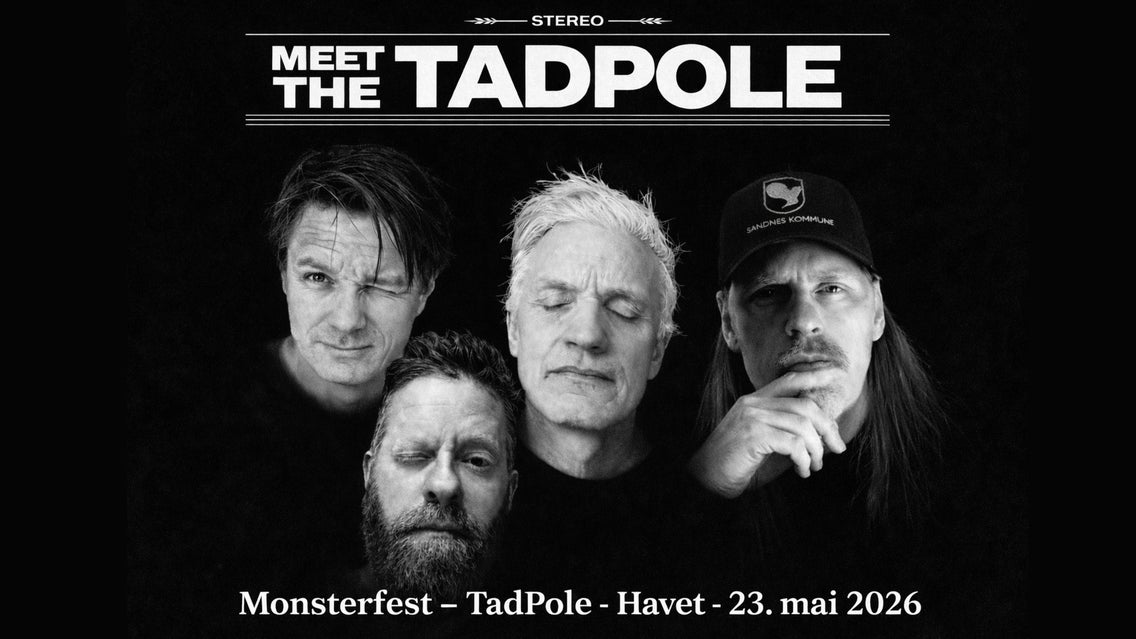 Tadpole concert image